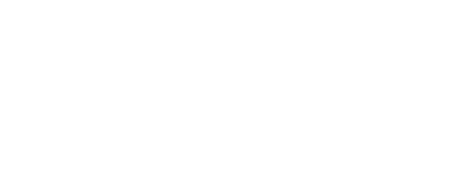 Festo компаниясының логотипі