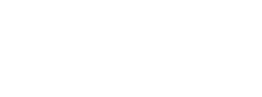 Wienerberger компаниясының логотипі